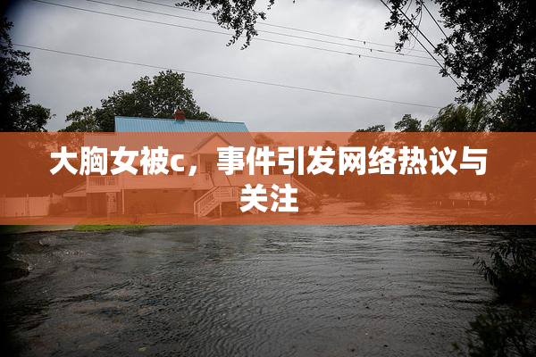 大胸女被c，事件引发网络热议与关注