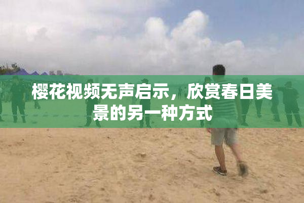 樱花视频无声启示，欣赏春日美景的另一种方式