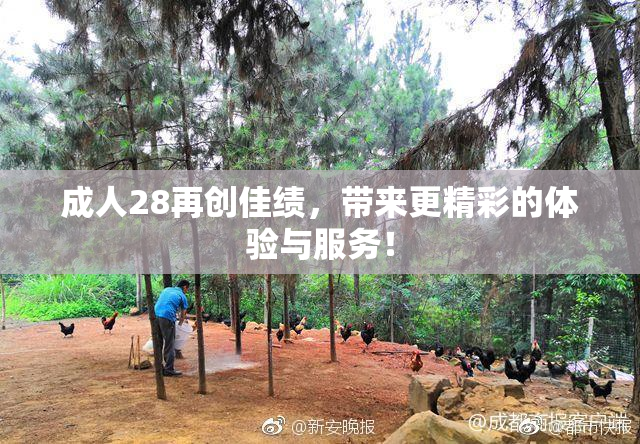 成人28再创佳绩，带来更精彩的体验与服务！
