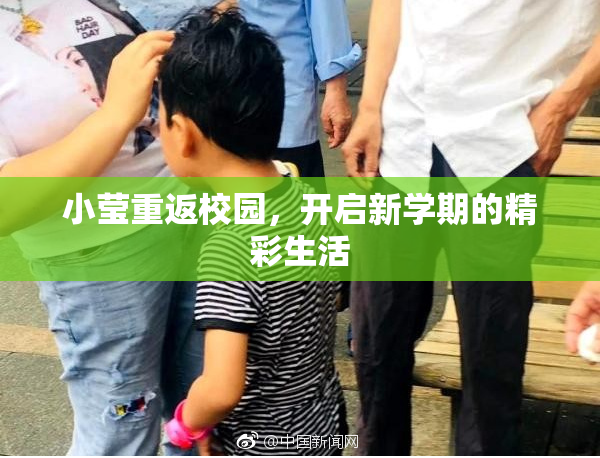 小莹重返校园，开启新学期的精彩生活