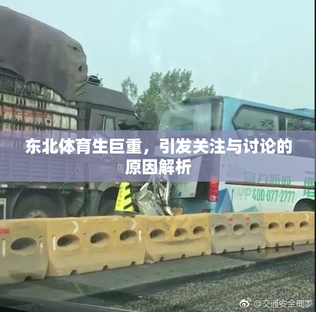 东北体育生巨重，引发关注与讨论的原因解析