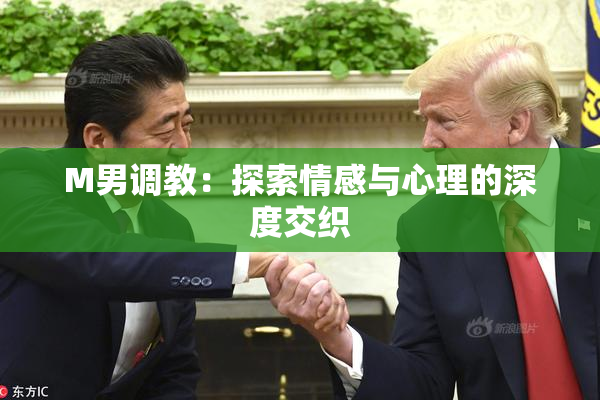 M男调教：探索情感与心理的深度交织