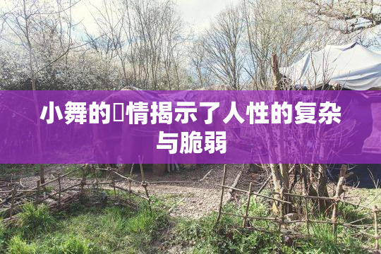 小舞的婬情揭示了人性的复杂与脆弱
