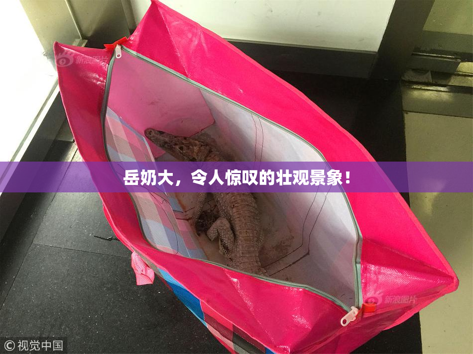 岳奶大，令人惊叹的壮观景象！