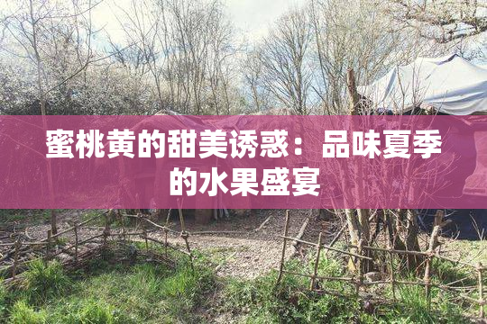 蜜桃黄的甜美诱惑：品味夏季的水果盛宴