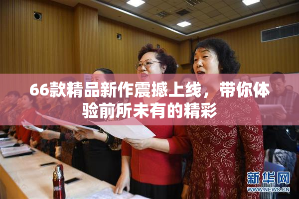66款精品新作震撼上线，带你体验前所未有的精彩