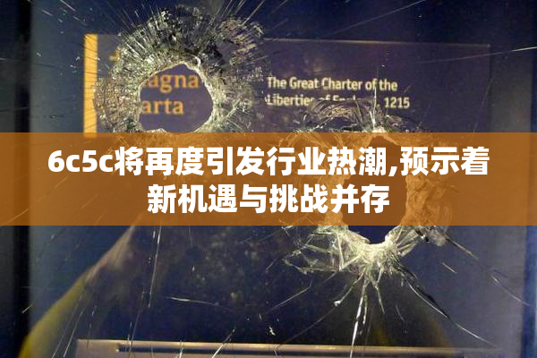 6c5c将再度引发行业热潮,预示着新机遇与挑战并存