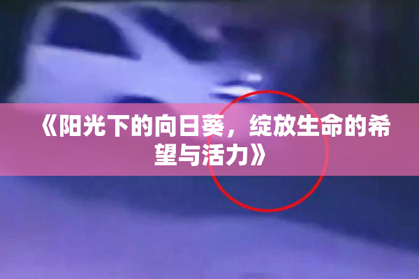 《阳光下的向日葵，绽放生命的希望与活力》