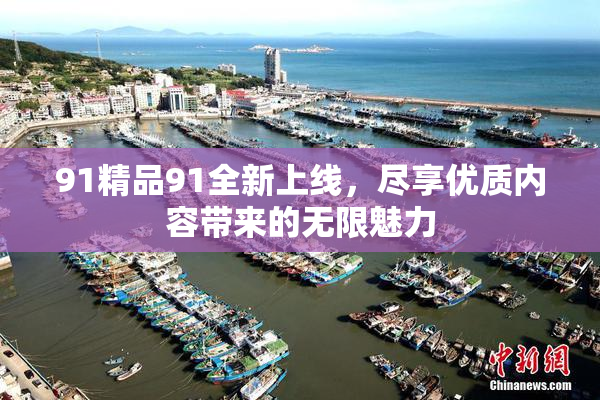 91精品91全新上线，尽享优质内容带来的无限魅力