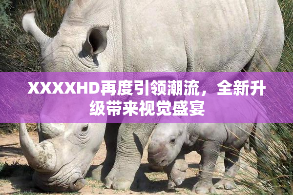 XXXXHD再度引领潮流，全新升级带来视觉盛宴