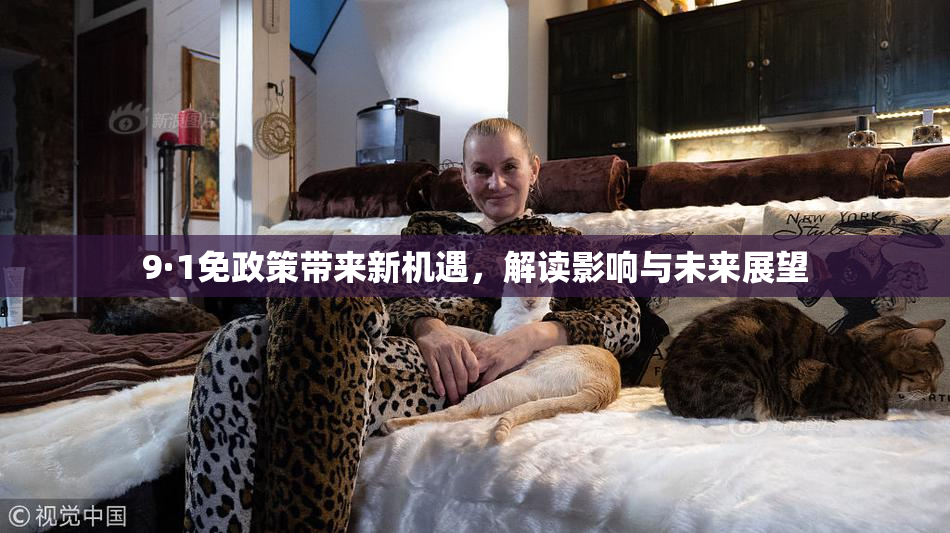 9·1免政策带来新机遇，解读影响与未来展望