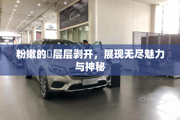 粉嫩的泬层层剥开，展现无尽魅力与神秘