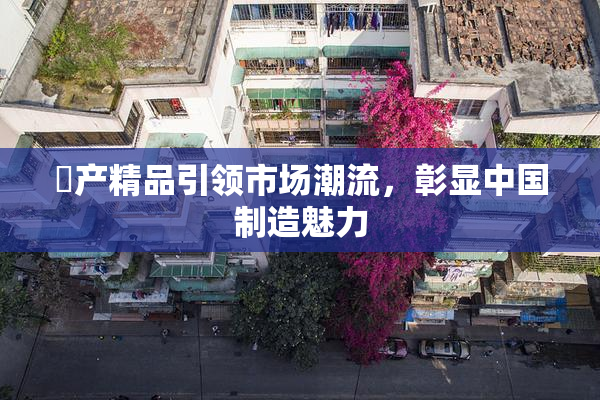 囯产精品引领市场潮流，彰显中国制造魅力