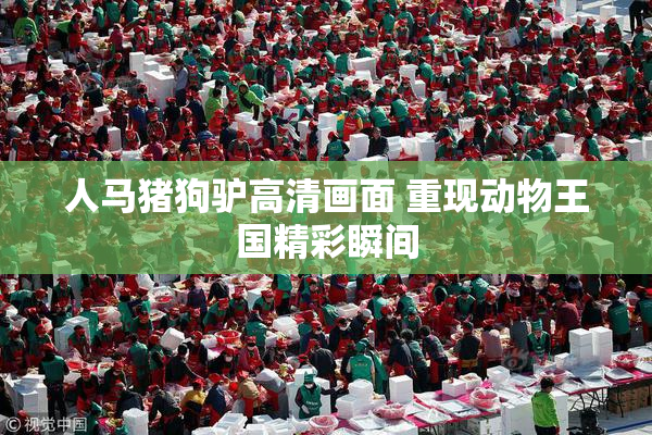人马猪狗驴高清画面 重现动物王国精彩瞬间