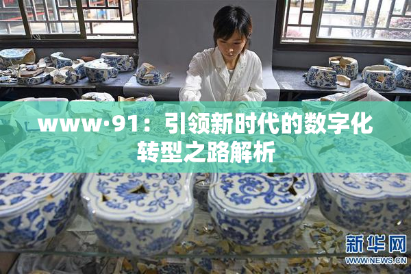 www·91：引领新时代的数字化转型之路解析
