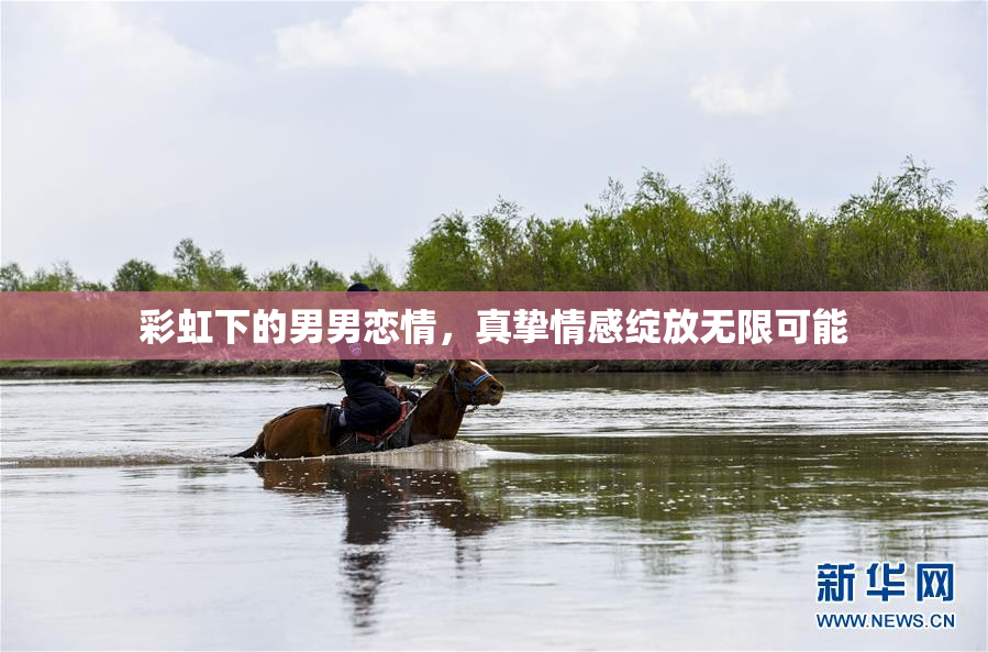 彩虹下的男男恋情，真挚情感绽放无限可能