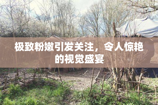 极致粉嫩引发关注，令人惊艳的视觉盛宴