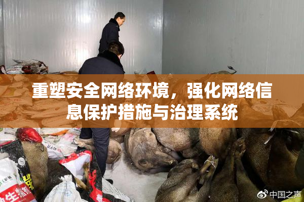 重塑安全网络环境，强化网络信息保护措施与治理系统
