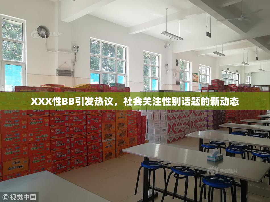 XXX性BB引发热议，社会关注性别话题的新动态