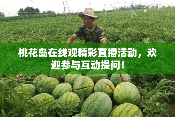 桃花岛在线观精彩直播活动，欢迎参与互动提问！