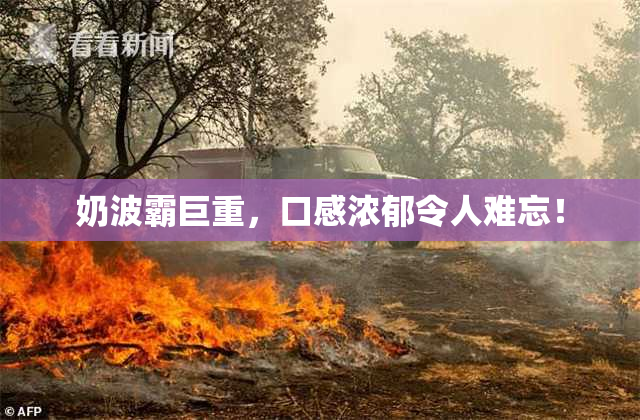 奶波霸巨重，口感浓郁令人难忘！