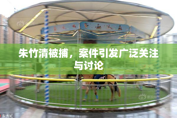 朱竹清被捕，案件引发广泛关注与讨论