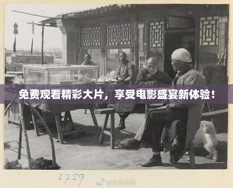 免费观看精彩大片，享受电影盛宴新体验！