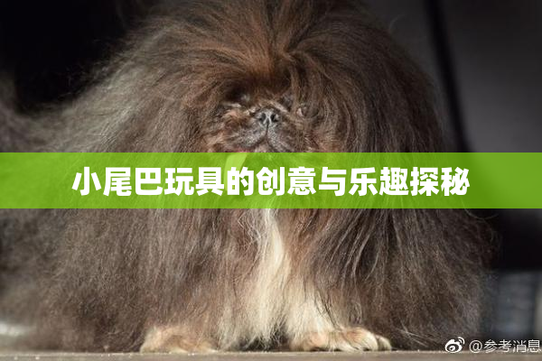 小尾巴玩具的创意与乐趣探秘
