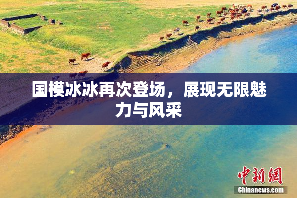 国模冰冰再次登场，展现无限魅力与风采