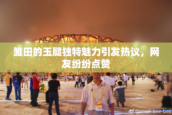 雏田的玉腿独特魅力引发热议，网友纷纷点赞