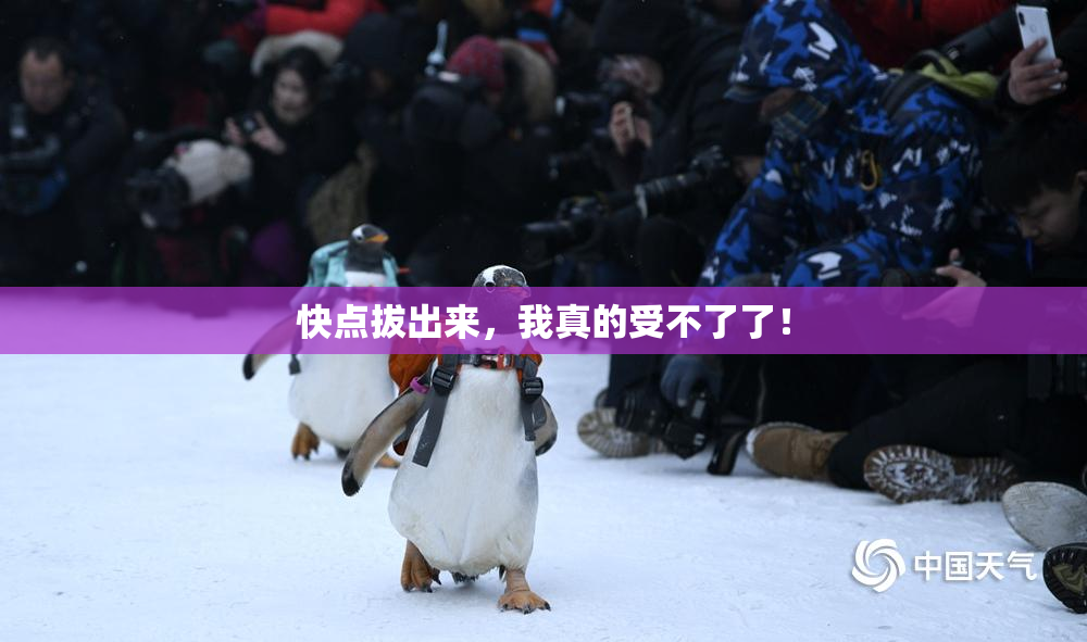 快点拔出来，我真的受不了了！