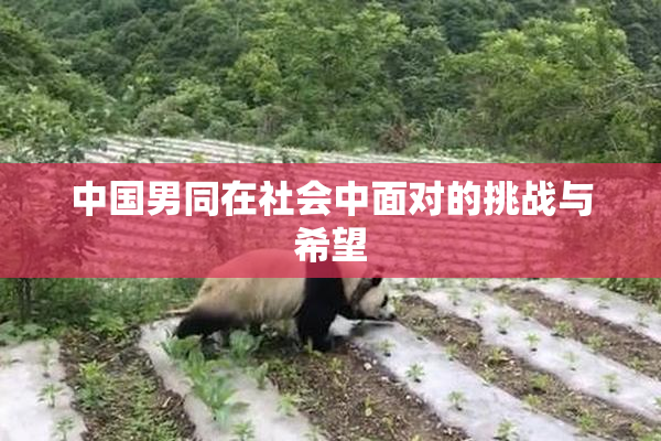 中国男同在社会中面对的挑战与希望