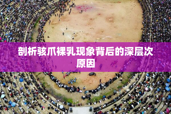 剖析骇爪裸乳现象背后的深层次原因