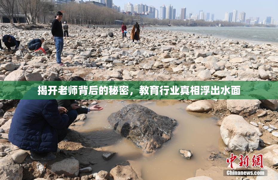 揭开老师背后的秘密，教育行业真相浮出水面
