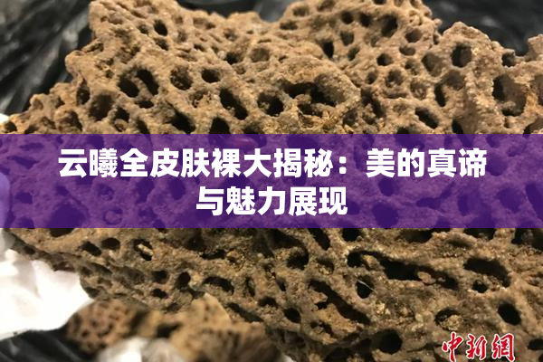 云曦全皮肤裸大揭秘：美的真谛与魅力展现