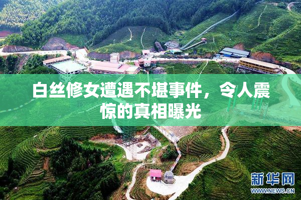 白丝修女遭遇不堪事件，令人震惊的真相曝光
