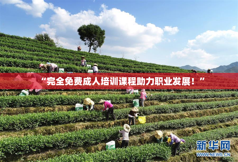 “完全免费成人培训课程助力职业发展！”