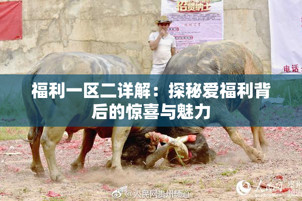福利一区二详解：探秘爱福利背后的惊喜与魅力