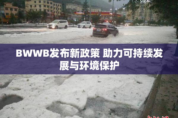 BWWB发布新政策 助力可持续发展与环境保护
