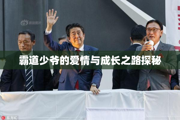霸道少爷的爱情与成长之路探秘