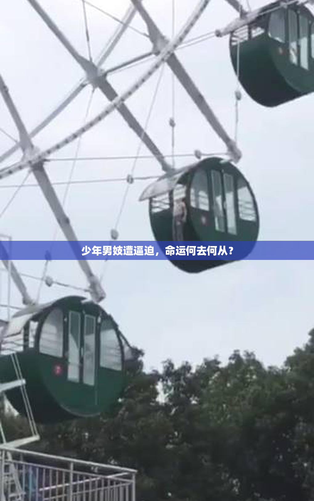 少年男妓遭逼迫，命运何去何从？