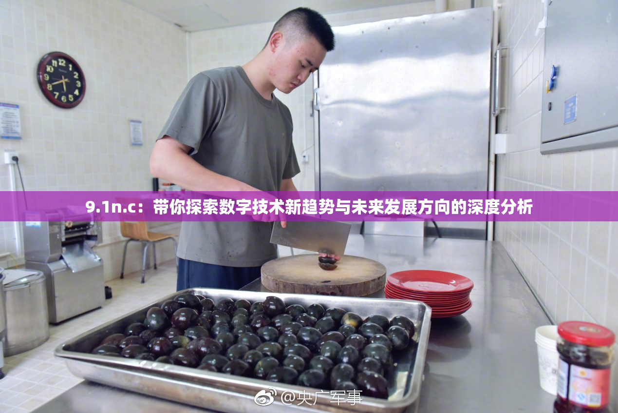 9.1n.c：带你探索数字技术新趋势与未来发展方向的深度分析