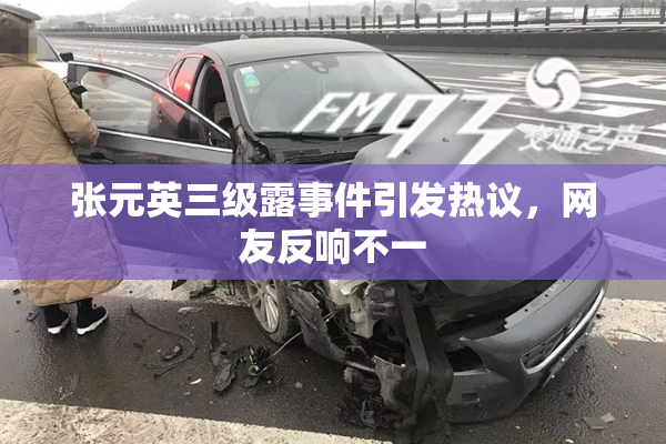 张元英三级露事件引发热议，网友反响不一