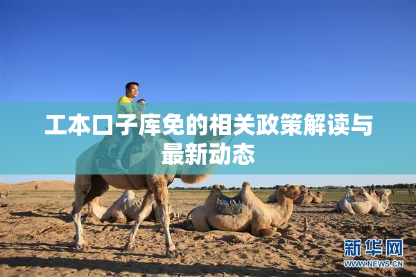 工本口子库免的相关政策解读与最新动态