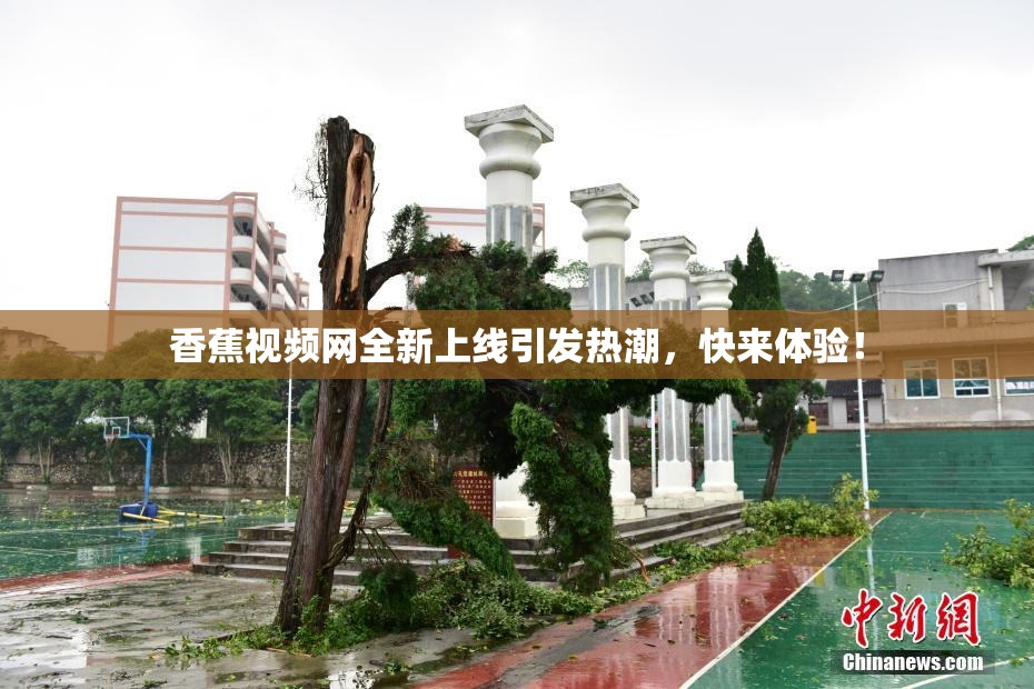 香蕉视频网全新上线引发热潮，快来体验！