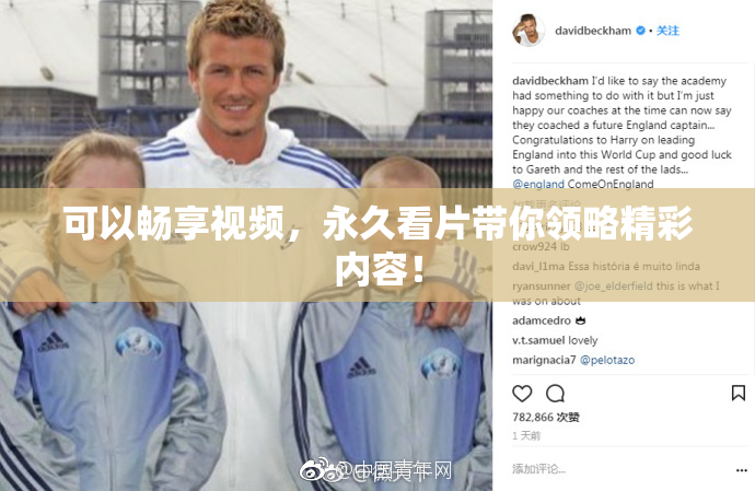 可以畅享视频，永久看片带你领略精彩内容！