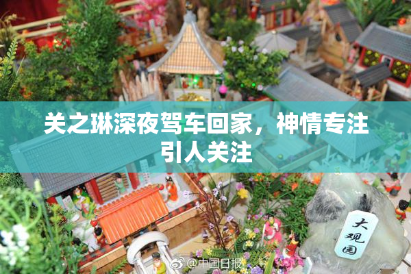关之琳深夜驾车回家，神情专注引人关注