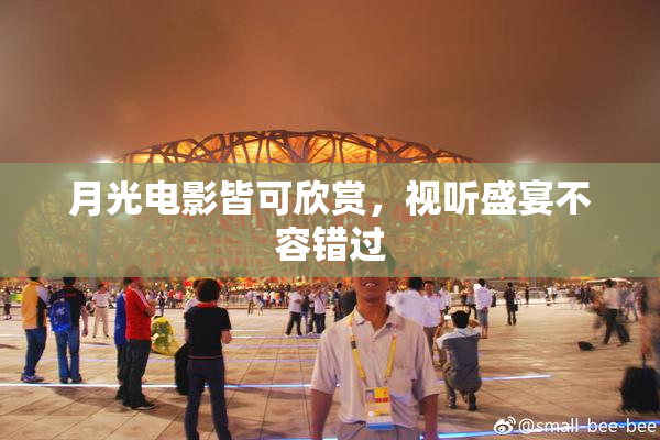 月光电影皆可欣赏，视听盛宴不容错过