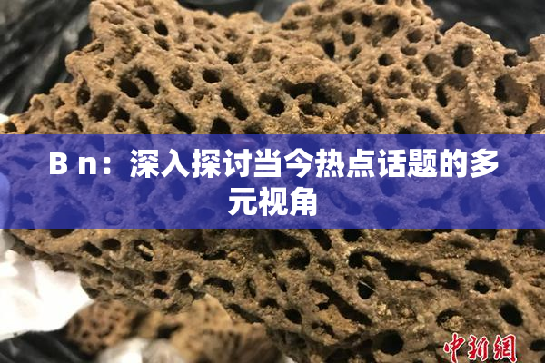 B n：深入探讨当今热点话题的多元视角