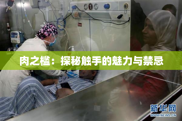 肉之槛：探秘触手的魅力与禁忌